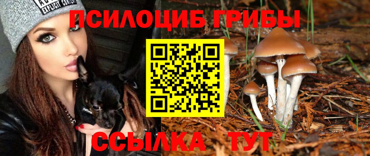 Галлюциногенные грибы Cubensis Ахтубинск